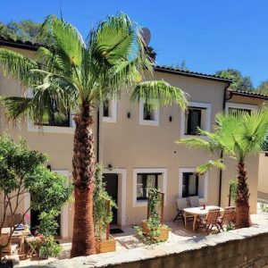 Villa with palm trees