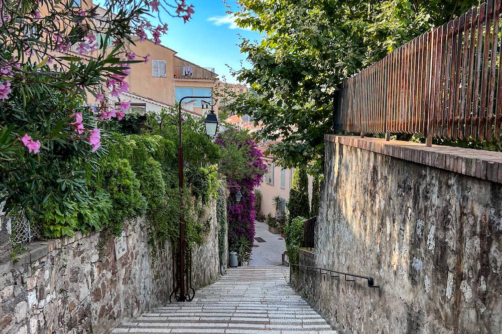Le Suquet Cannes verdant street in Old Town