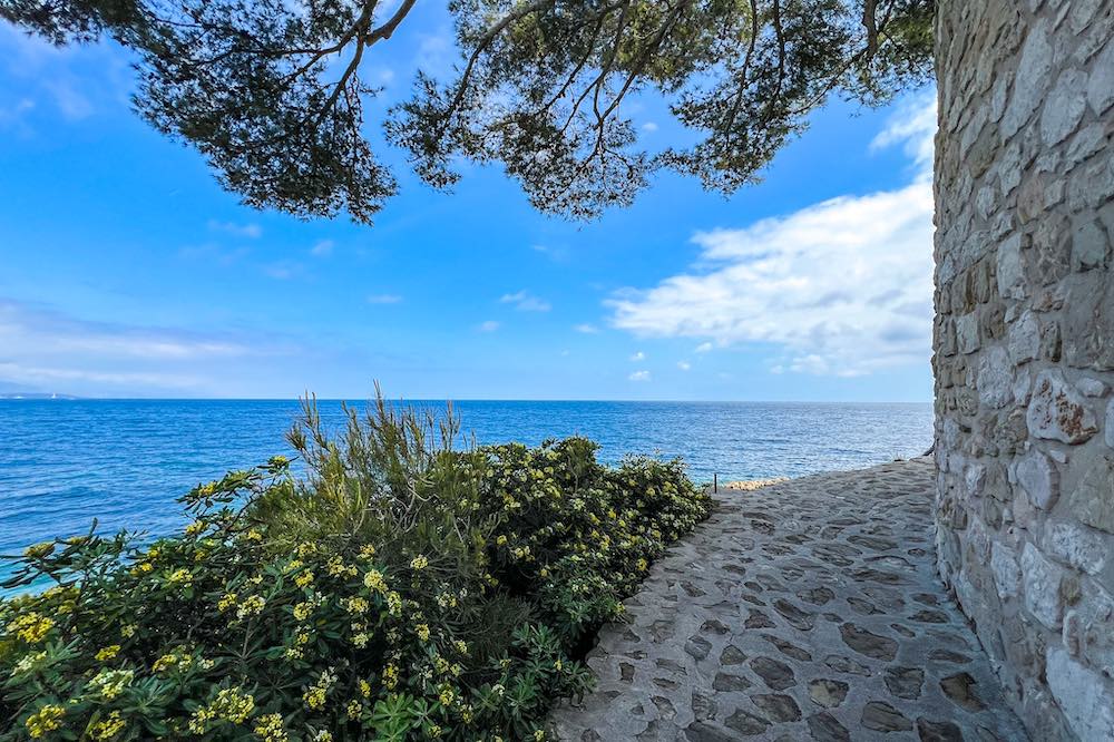 Cap Ferrat coastal walk with mimosa flowers and endless seaviews