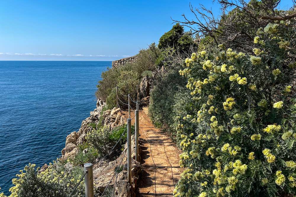 Cap d'Antibes coastal trail is one of the most scenic stretches of the Sentier du Littoral network of French Riviera coastal walks