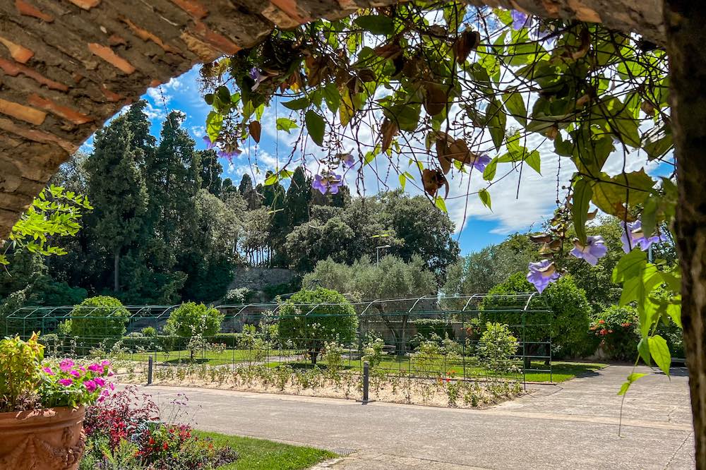 Flowers galore in the Cimiez Monastery Gardens in Nice