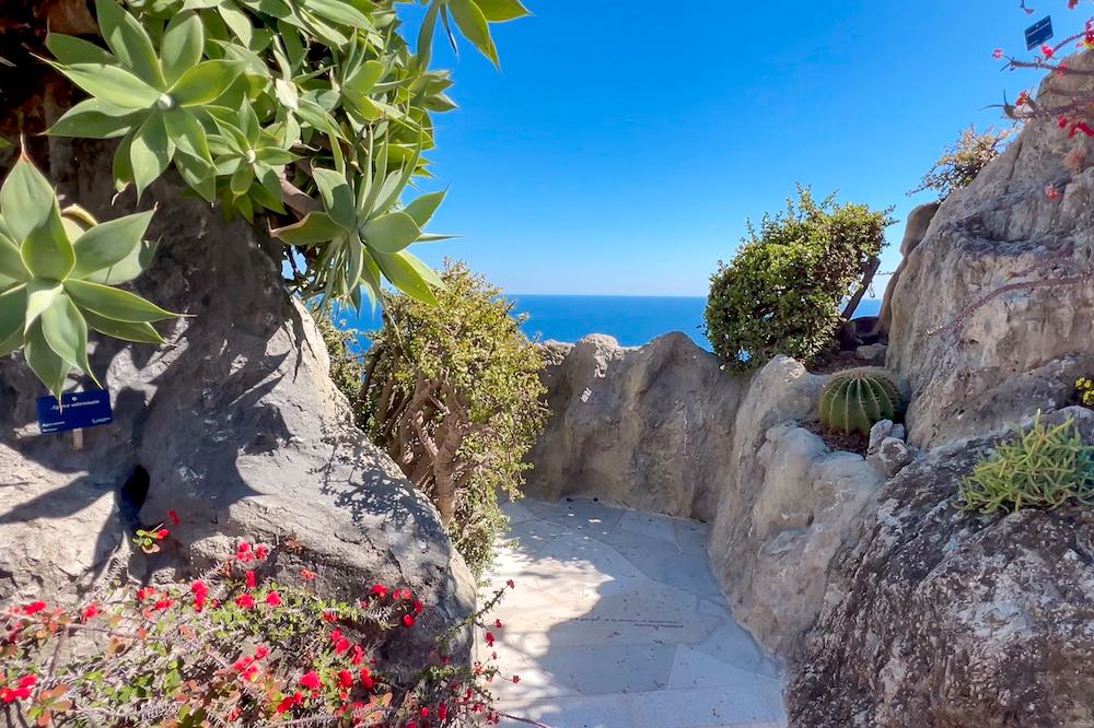 A cliffside garden with thousands of succulents and views over the Mediterranean