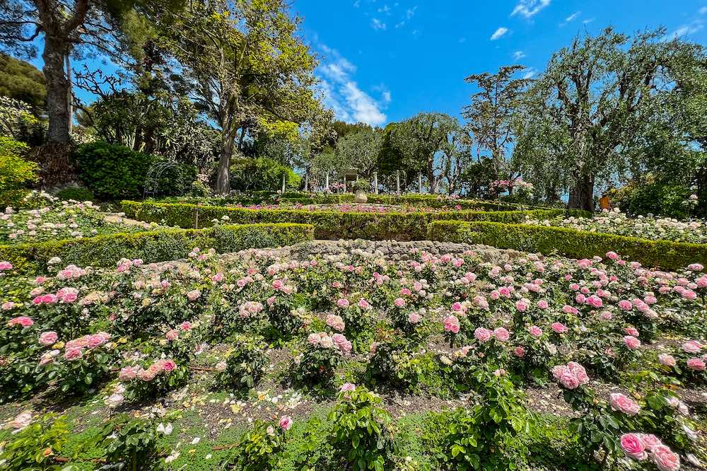 Jardin Ephrussi de Rothschild rose garden